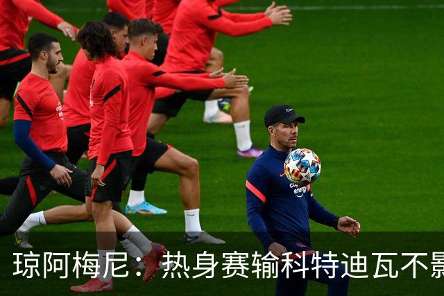 琼阿梅尼：热身赛输科特迪瓦不影响法国，可以说是一次小小的提醒